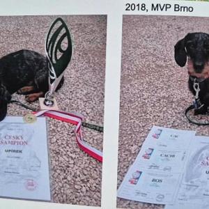 MVP Brno 2018